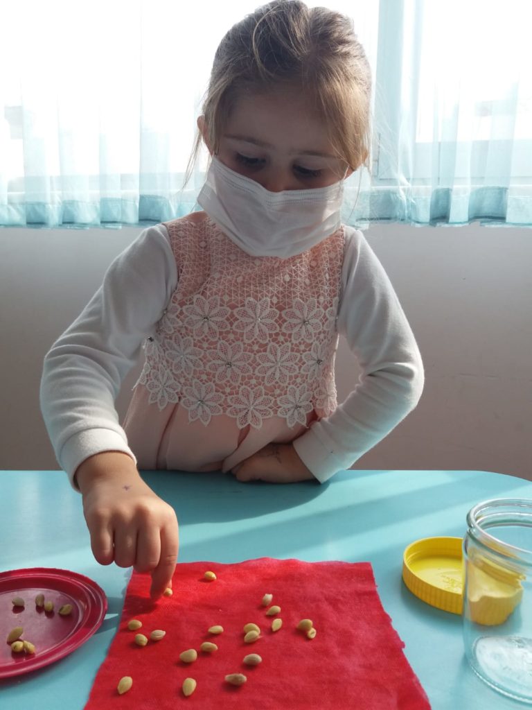 LİMON ÇEKİRDEĞİ ÇİMLENDİRME DENEYİ