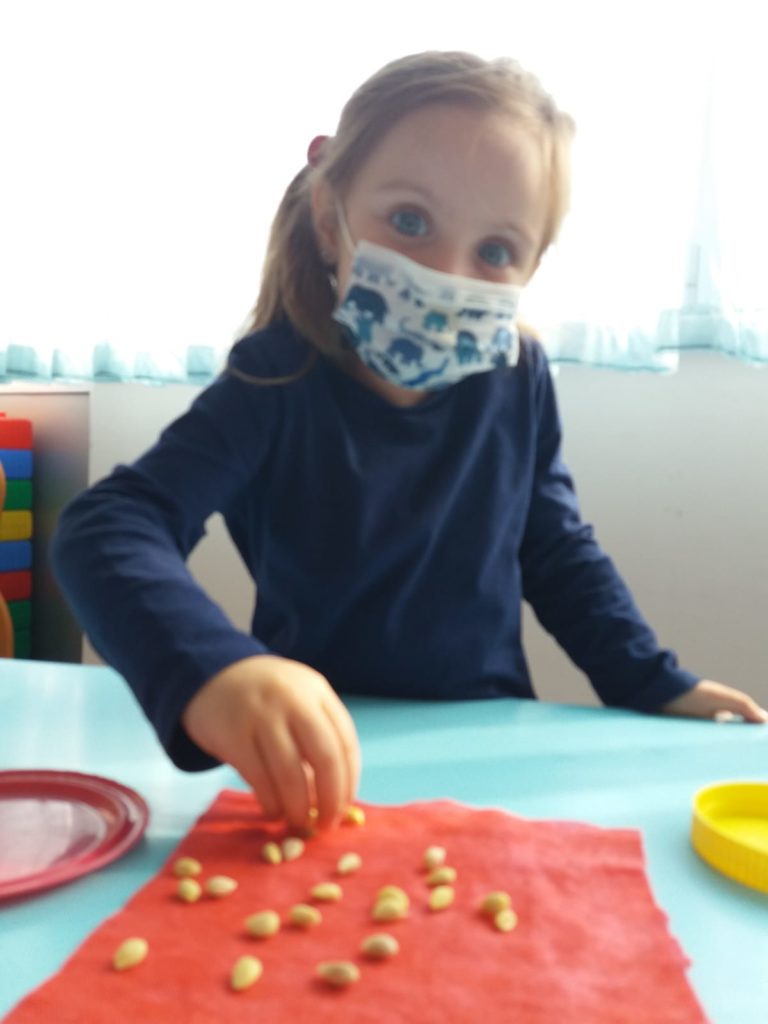 LİMON ÇEKİRDEĞİ ÇİMLENDİRME DENEYİ